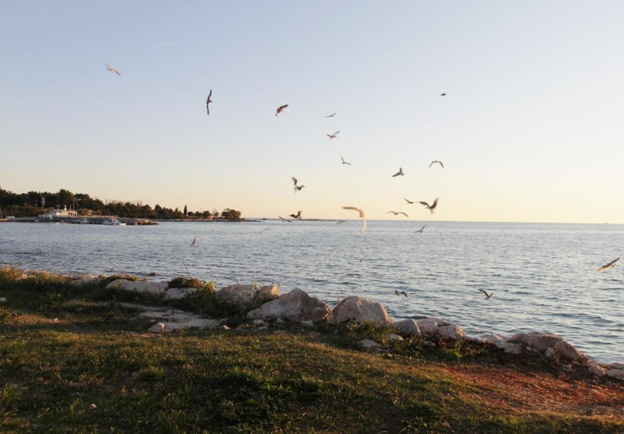 Apartments Zambratija With Sea View Buitenkant foto